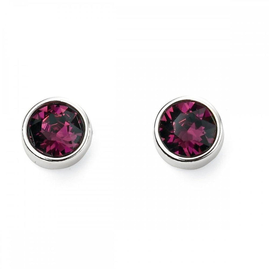 February Birthstone Earrings