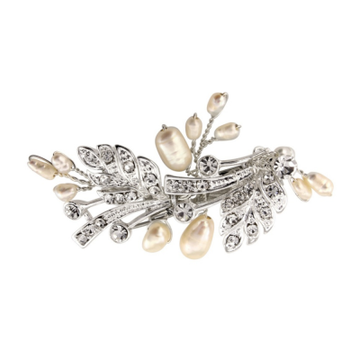 Chic Hair Clip