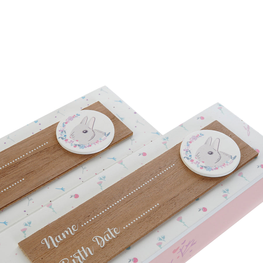 Baby Girl Birth Certificate Box