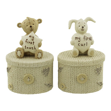 First Tooth & Curl Set