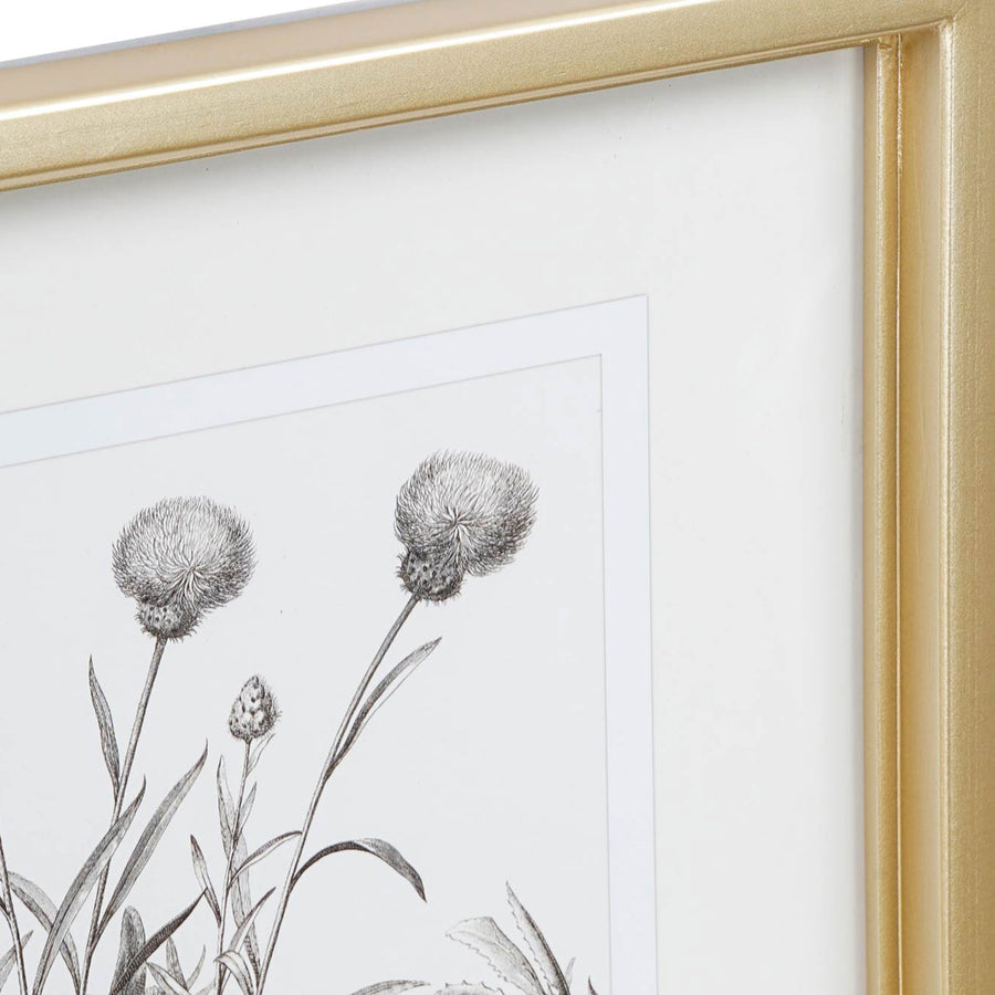 Wall Art - Floral Sketch Drawing IV