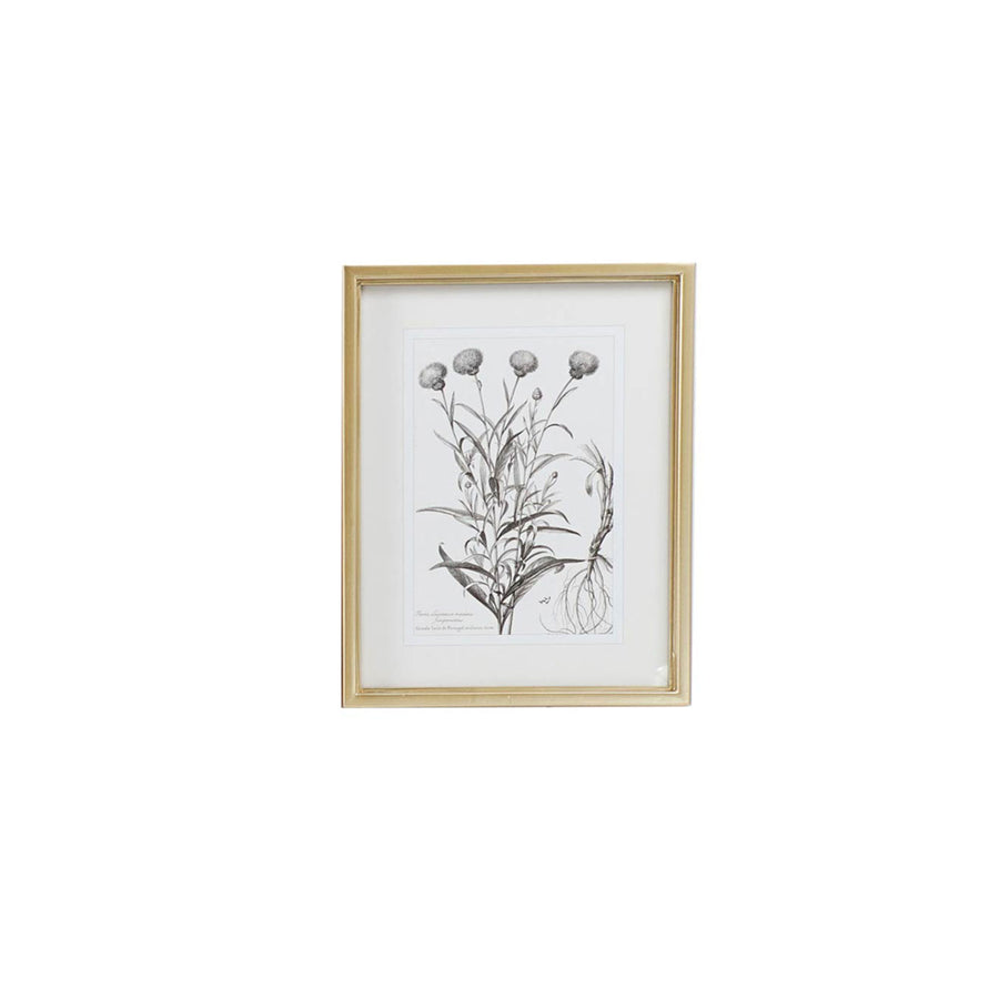 Wall Art - Floral Sketch Drawing IV