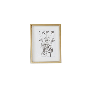 Wall Art - Floral Sketch Drawing II