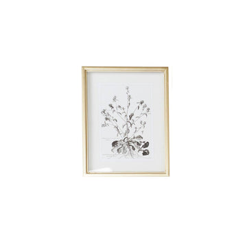 Wall Art - Floral Sketch Drawing I