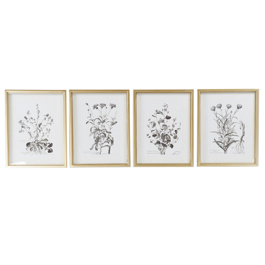 Wall Art - Floral Sketch Drawing III
