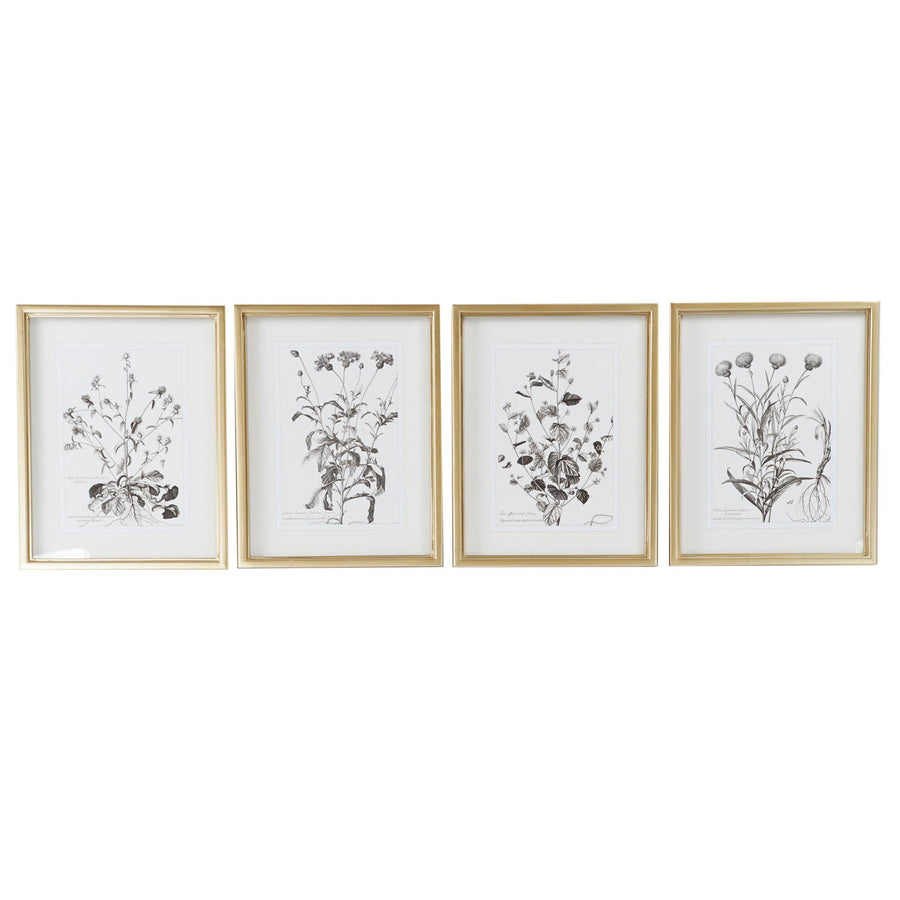 Wall Art - Floral Sketch Drawing I
