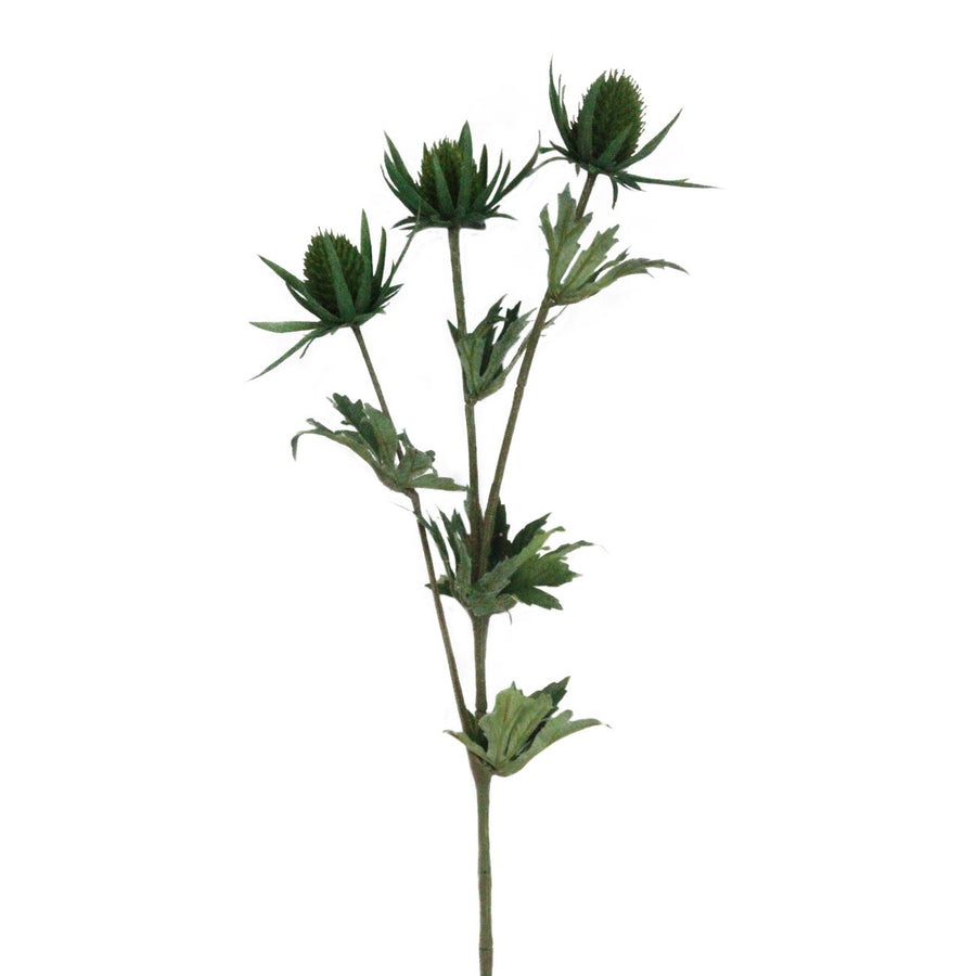 Thistle Stem