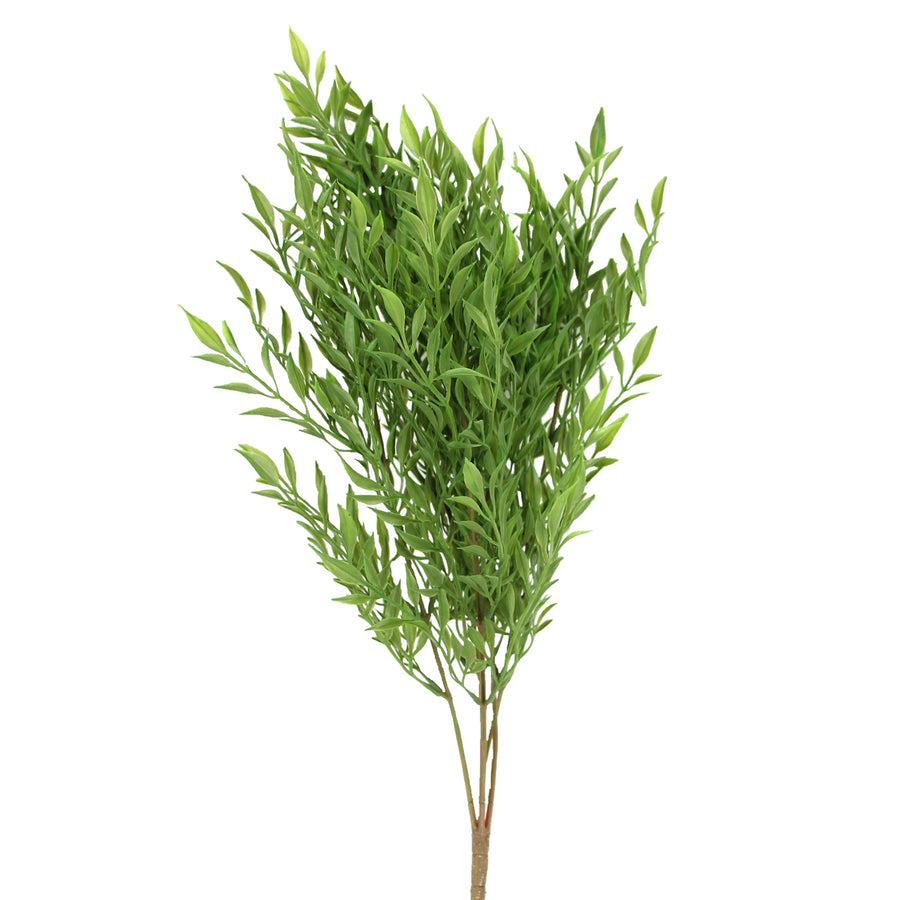 Bamboo Mini Bush