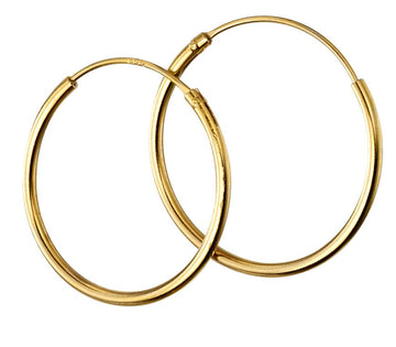 Silver Gold Plated Hoop Earrings