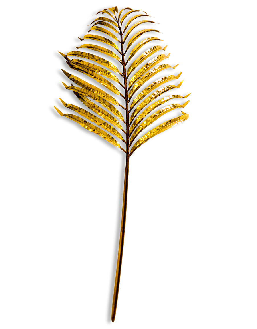 Palm Leaf