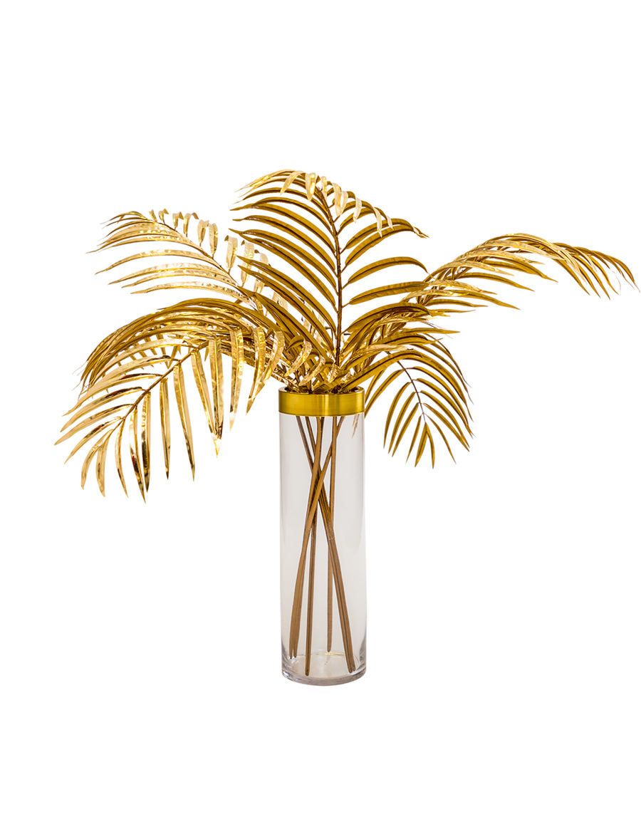 Palm Leaf