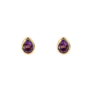  Gold Plated February Birthstone Earrings