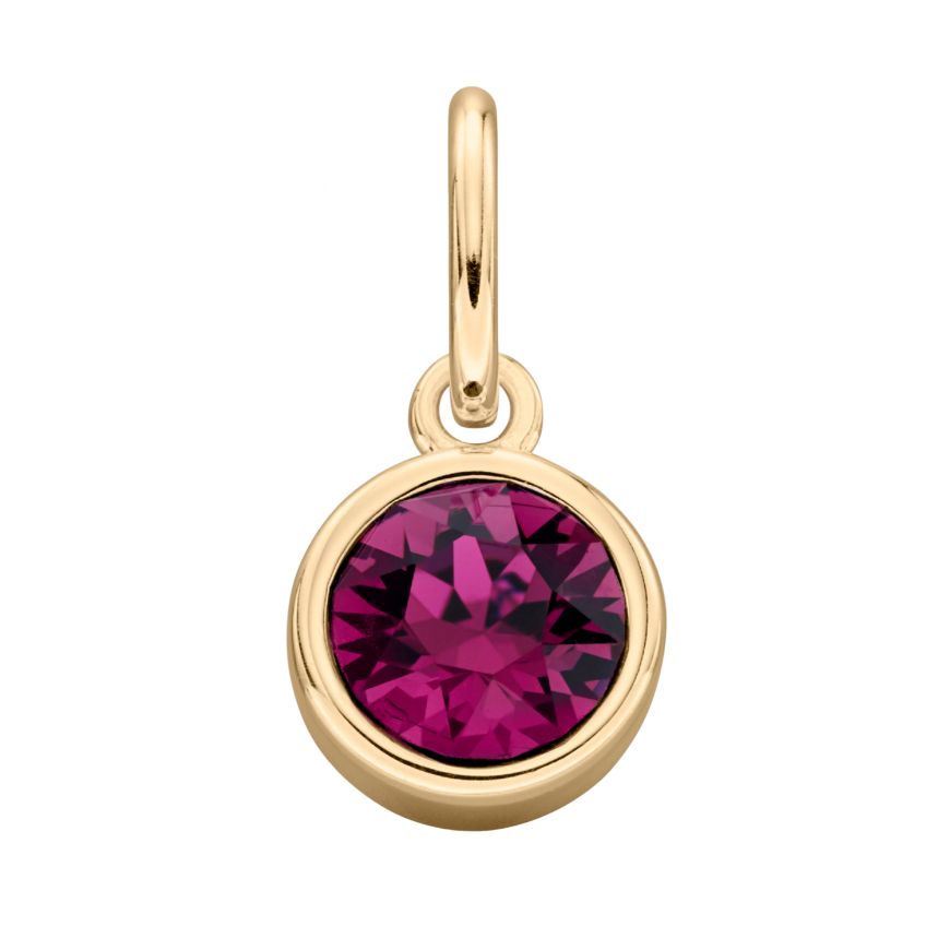 Gold Plated February Birthstone Charm